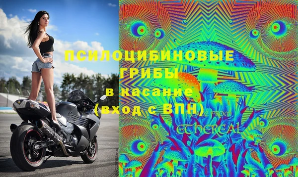 MESCALINE Верея