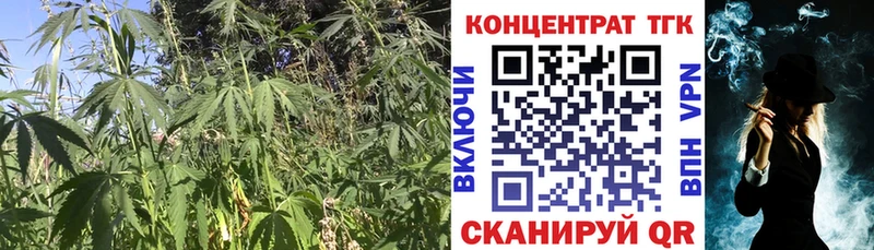 Купить закладки  Кораблино  Дистиллят ТГК гашишное масло 