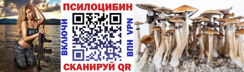 Купить  Кораблино  Псилоцибиновые грибы мицелий 